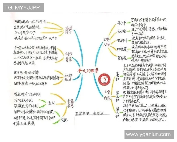 罗凯文的成长之路：从平凡少年到杰出人才的蜕变与奋斗历程